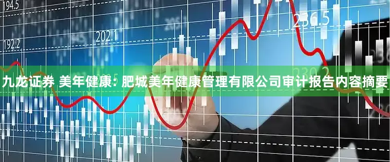 九龙证券 美年健康: 肥城美年健康管理有限公司审计报告内容摘要