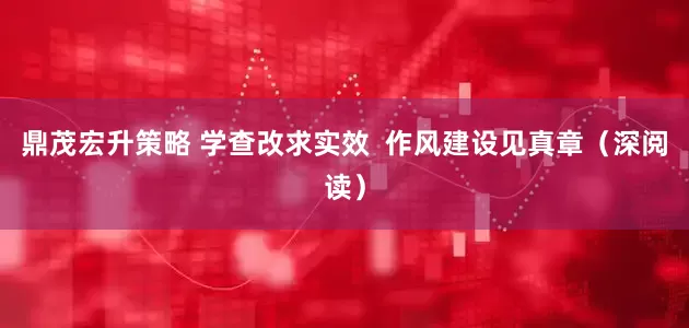 鼎茂宏升策略 学查改求实效  作风建设见真章（深阅读）