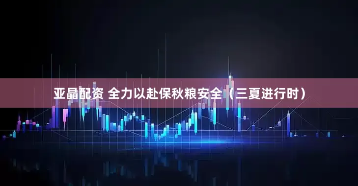 亚晶配资 全力以赴保秋粮安全（三夏进行时）